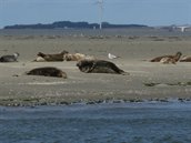 IMG_2693