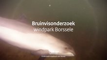 za7i7c6-still-groot (1)