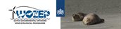 header_nieuwsbrief_WOZEP_02_logo