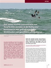 21_Fijn_2017_onverwachte_concentratie_ZZE_hol_kust_LIMOSA90