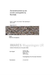 36_Leopold_2010_ZZE-voedsel_op_recente_zandsuppletie_WUR_C021-10