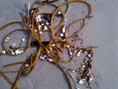 Paraffine op het strand