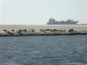 ZH -BMinkema-1000x75