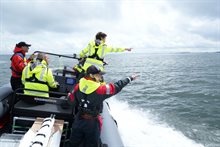 Figuur 3. Veldteam in actie (foto: Steve Geelhoed, Wageningen Marine Research).