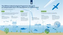Wozep - infographic ENG